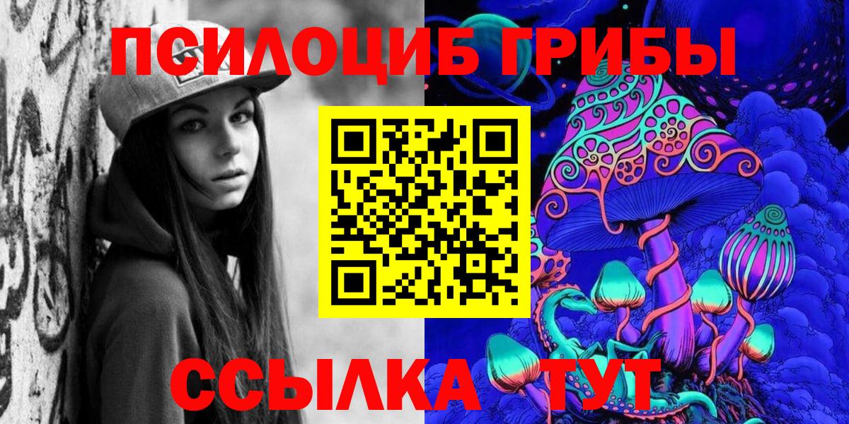 Сосновоборск  Псилоцибиновые грибы Psilocybe  Вход с VPN 