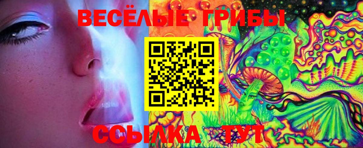 Псилоцибиновые грибы мицелий Сосновоборск